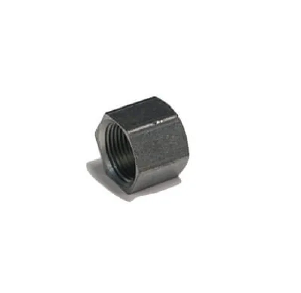 ADAPT. CAPUCHON NPT 1 / 8&Prime;