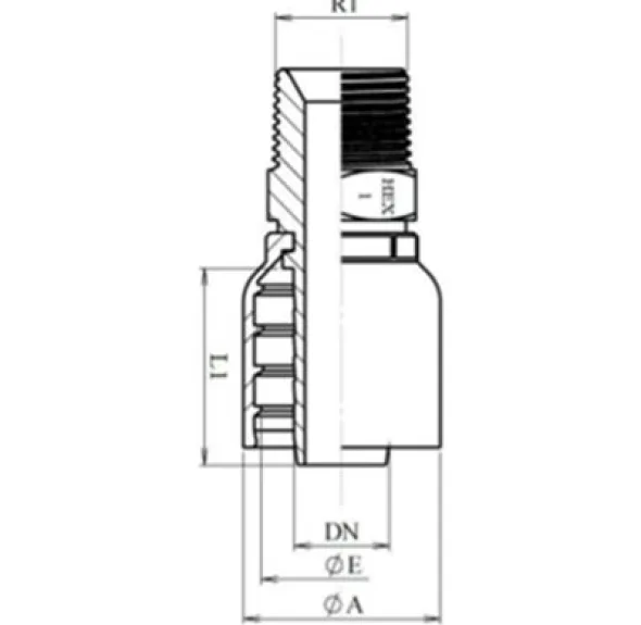 RACCORD UNE PIÈCE MÂLE BSPT Série B43