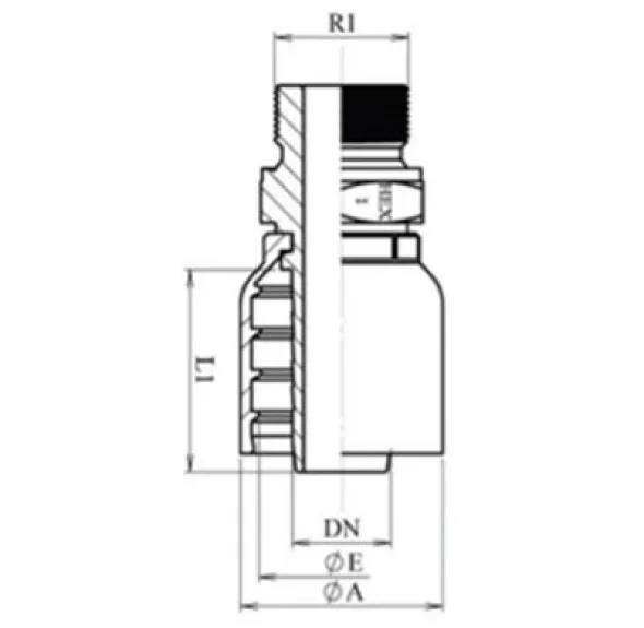 RACCORD UNE PIÈCE MÂLE BSPP FACE PLATE Série B43