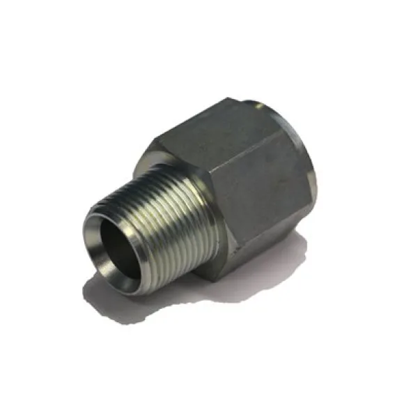 ADAPT. MÂLE NPT 1 / 8&Prime; X FEM BSPP 1 / 8&Prime;