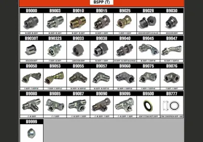 Adaptateurs FILETS BSPP (T)