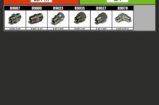 BSPP (T) & NPT adapter