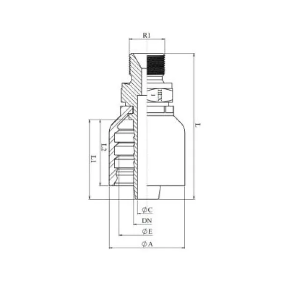 RACCORD UNE PIÈCE MÂLE BSPP CÔNE 60° Série BWS