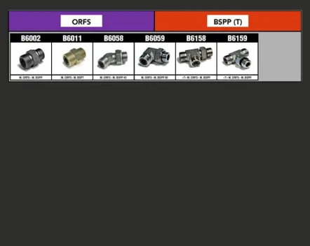 ORFS & BSPP (T) adapter