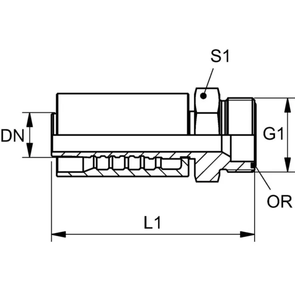 PA 7** HJOF (Mâle ORFS)
