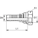 RACCORD FEM BSPP CÔNE 60° 1 / 8&Prime; X 1 / 4&Prime;