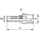 RACCORD MÂLE BSPT (TAPER) R1 / 8&Prime; X 1 / 4&Prime;
